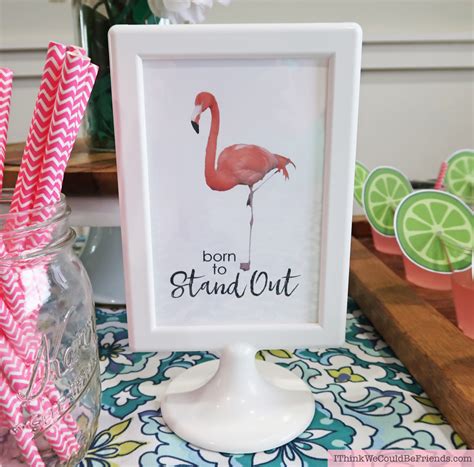 cheap  classy flamingo baby shower party decoration