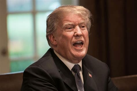 trump bouncing off the walls with rage after fbi raid on
