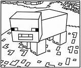 Minecraft sketch template