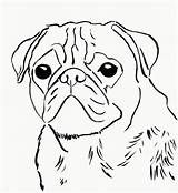 Pug Coloring Pages Puppy Printable Dog Pugs Face Drawing Print Baby Sad Cute Template Color Easy Kids Puppies Drawings Draw sketch template