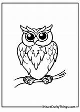 Owls Wise Iheartcraftythings sketch template