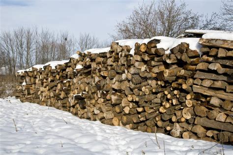 wood stock stock photo image  heap industry pile