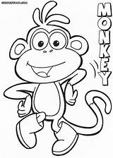 Monkey Coloring Pages Cute Colorings sketch template
