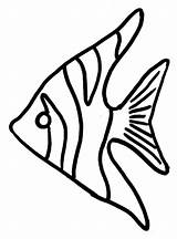 Angelfish Coloringsky Skalar sketch template