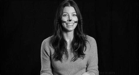 jessica biel cat find and share on giphy