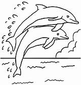 Golfinhos Golfinho Comofazeremcasa sketch template