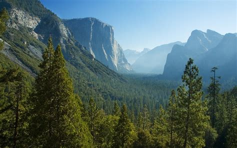 fondos de pantalla 1920x1200 parque ee uu bosques california yosemite