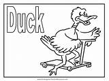 Coloring Pages Animal Duck Duckling sketch template