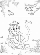 Monkey Banana Eating Coloring sketch template