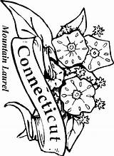 Coloring State Pages Flowers Drawing Connecticut Kids Flower States Getdrawings sketch template