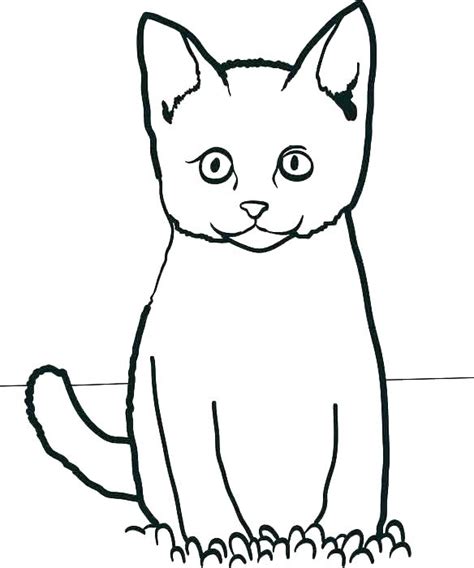 simple cat coloring pages  getcoloringscom  printable