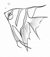 Fish Angel Angelfish Coloring Sketch Pages Drawing Printable Color Drawings Getdrawings Coloringbay Designlooter Getcolorings Print Fishing Recommended sketch template