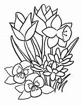 Kolorowanki Kolorowanka Wiosenne Kwiaty Wiosna Druku Springtime Kleurplaten sketch template