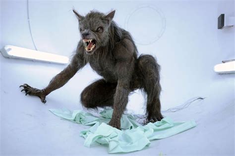 werewolf conference will see academics shine a light on