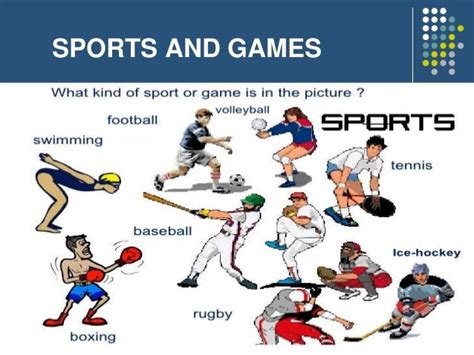 list   types  sports sexy moives
