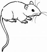 Mouse Coloring Printable Pages Preschool Animals Kids sketch template