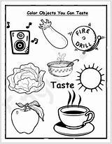 Taste Worksheet Sense Vocabulary Englishbix sketch template