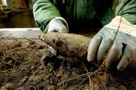ondergronds munitiedepot uit tweede wereldoorlog ontdekt  helmond trouw