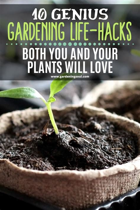 10 genius gardening life hacks both you and your plants will love