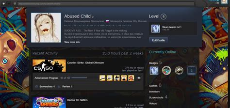 whats wrong   steam profile