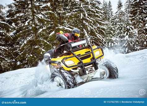 winter race   atv  snow   forest stock image image  wheel driving