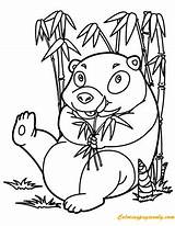 Panda Coloring Funny Pages Bamboo Under Color Print Animals Animal Hellokids Wild Coloringpagesonly sketch template