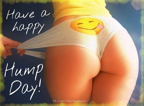 Happy Hump Day Meme And Funny Pictures