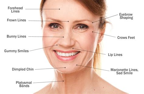 cosmetic injectables  botox  fillers