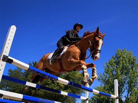 olympics teenager   qualify   show jumping team   york times
