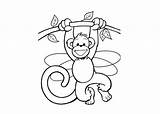 Monkey Coloring Pages Baby Cute Cartoon Monkeys Kids sketch template