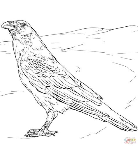 printable raven coloring pages
