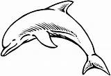 Dolphin Coloring Animals Printable Pages Dauphin Coloriage Imprimer Kb sketch template