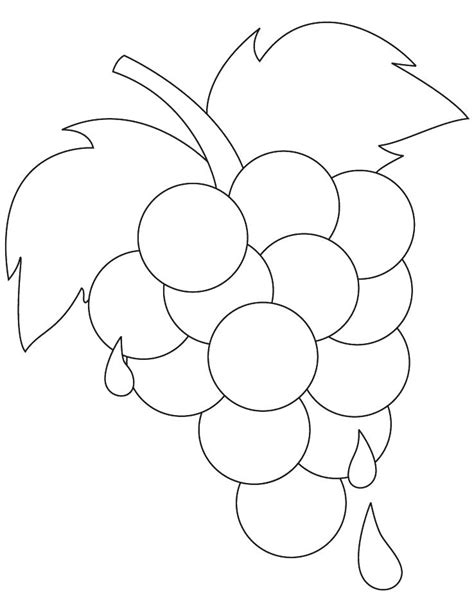 grape vine coloring page  getdrawings
