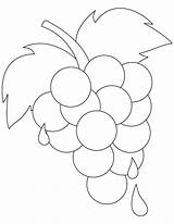 Grapes Coloring Pages Grape Vine Kids Ripe Printable Color Fresh Colouring Template Sheets Leaf Bestcoloringpages Getdrawings Books Fruit Getcolorings Popular sketch template
