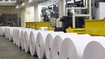 paper stocks face dilemma  rise  pulp prices dalal street