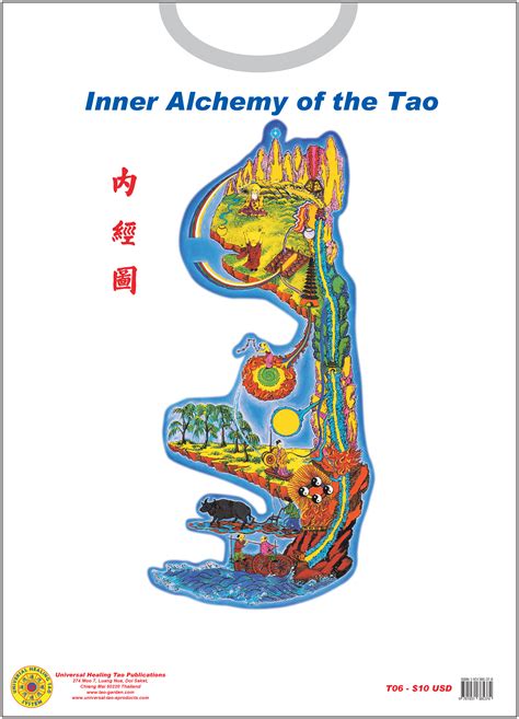taoist  alchemy microcosmic orbit   shirt dl  universal