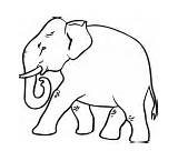 Elephant Coloring Pages Animales Para Peligro Extinción Animals Imagen Wildlife Strutting Con sketch template