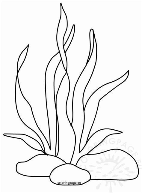 ocean plants coloring pages patricia sinclairs coloring pages