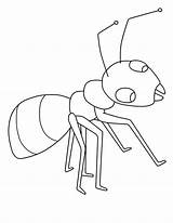 Ant Ants Marching Coloringsky Insects Asd2 sketch template