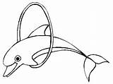 Dolphin Coloring Pages Dolphins Bottlenose Drawing Colouring Printable Clipart Print Kids Library Line Animals Designs Getdrawings Tail Cliparts sketch template
