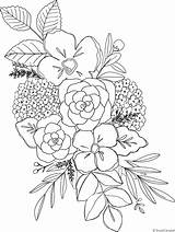 Coloring Hydrangea Pages Flower Campbell Shayda Floral Drawing Spring Watercolor Colouring Patterns Choose Board Embroidery Kids Books sketch template