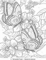 Mariposas Doverpublications sketch template