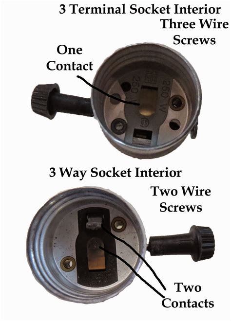 circuit  terminal lamp socket wiring diagram cadicians blog