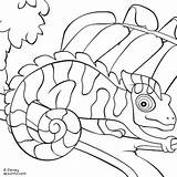 Coloring Pages Chameleon Camouflage Python Ball Reptiles Drawing Print Kids Mixed Sheets Clip Chameleons Template Reptile Leo Lionni Animal Getcolorings sketch template