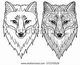 Face Fox Outline Coloring Head Animal Vector Template Drawings sketch template
