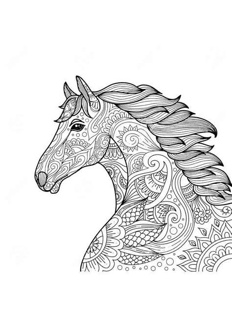 awesome collection adult coloring page horse dressage  csi