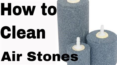 clean  disinfect air stones airstone youtube