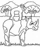 Coloring Pages Wild Animals Safari Rhino Animal African Monkey Popular Comments Coloringhome Kids Rhinoceros sketch template