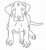 Dane Great Puppy Coloring Pages Lps Deviantart Kennels Template sketch template