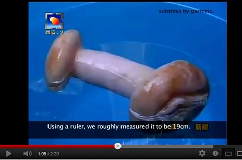 chinese confuse sex toy for mushroom